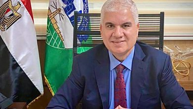 مهندس سعد ابو المعاطى