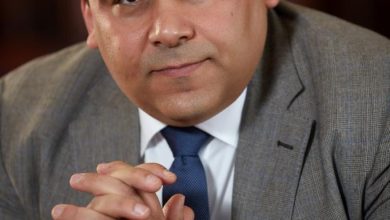 عادل حامد