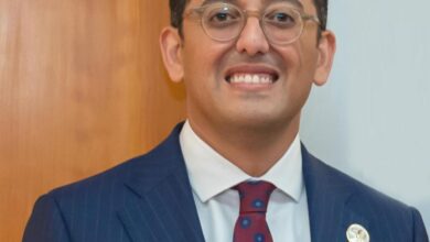 الاستاذ أمير رياض