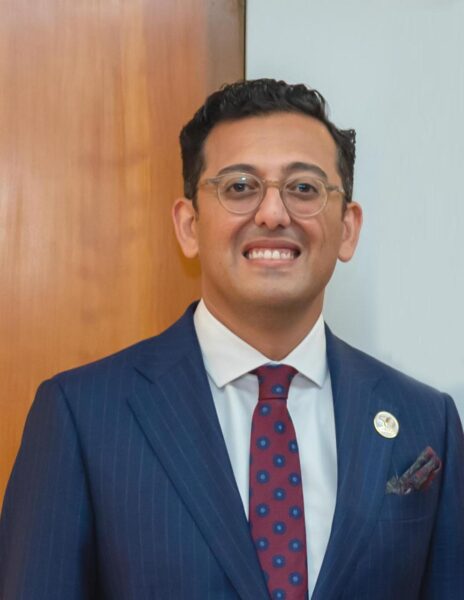 الاستاذ أمير رياض