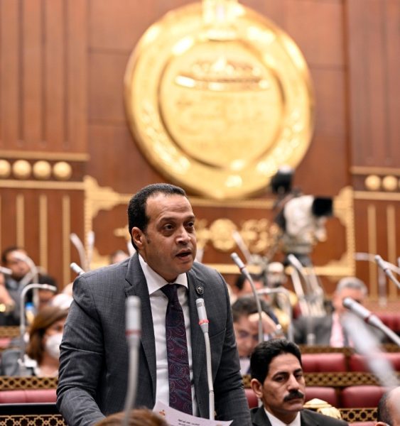 النائب خالد أبو الوفا