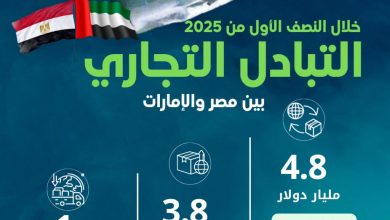الإحصاء : 153.3 % ارتفاعًا في حجم الصادرات المصرية إلى الإمارات خلال النصف الأول من عام 2025
