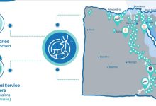 نايس ديرأول شركة مصرية للذكاء الاصطناعي في التأمين الصحي تصل إلى مليون عميل