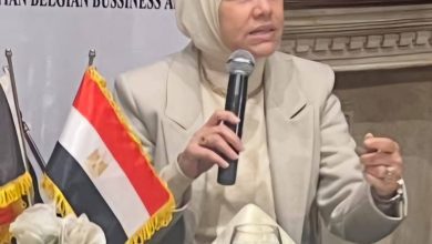 رشا عبد العال : يولي اهتمامًا بالغًا لتعزيز مبدأي الشراكة